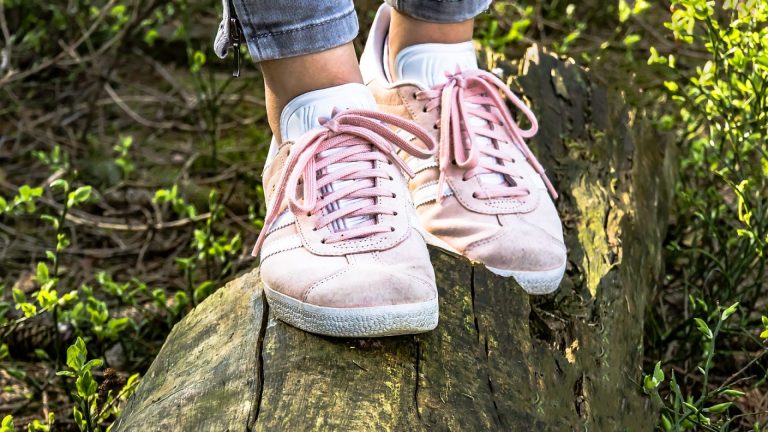 Les sneakers : le confort pour toutes les occasions, pour tous les jours