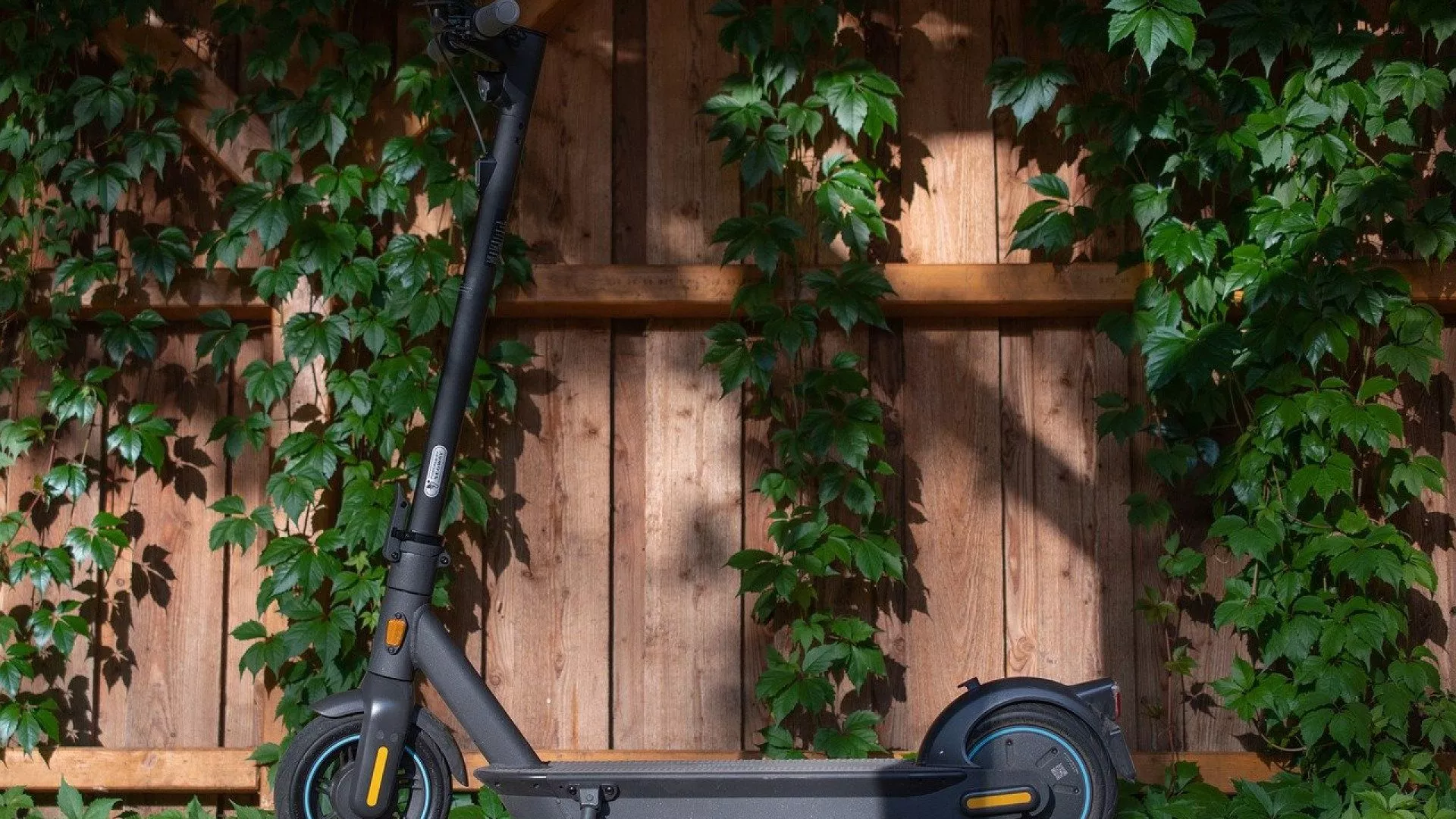 Combien coûte une trottinette électrique en 2022 ? - Evangeline Lilly