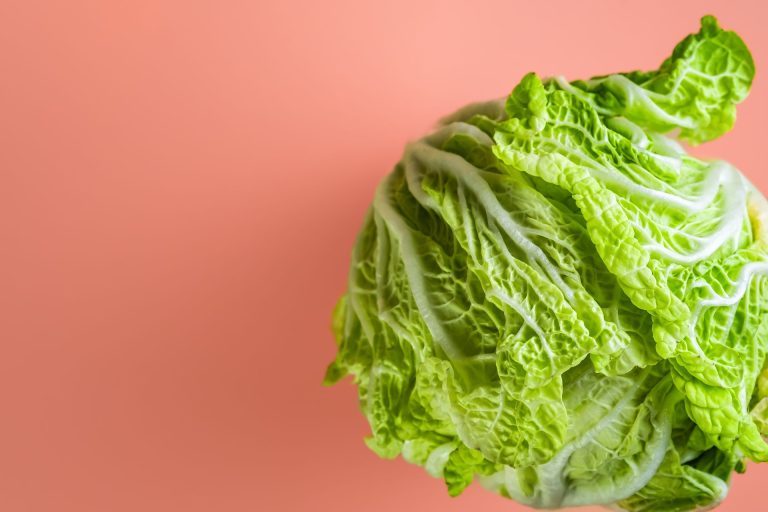 Le chou frisé : ce qu'il est, ses propriétés et comment le consommer